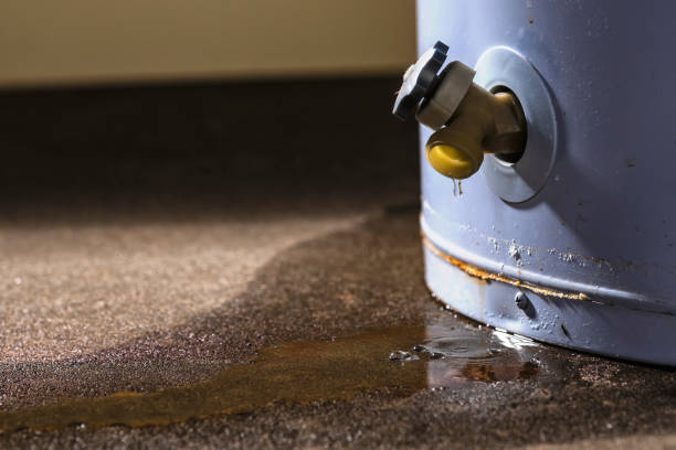 Best Flood restoration services  in La Cygne, KS