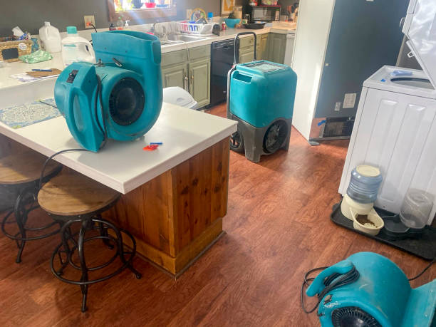 Best Carpet water damage restoration  in La Cygne, KS