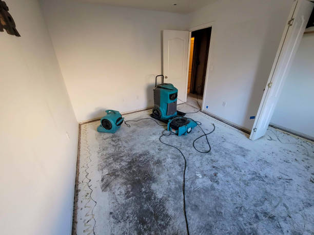 Best Local water damage restoration  in La Cygne, KS