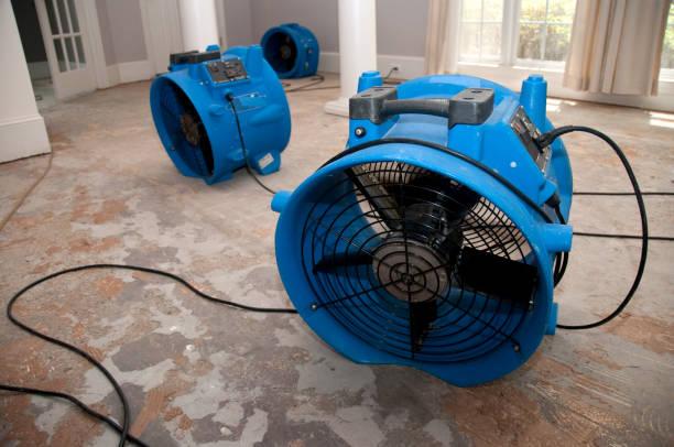  La Cygne, KS Water damage restoration Pros