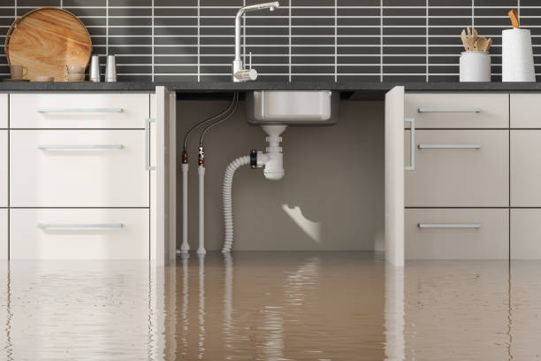 Best Commercial water damage restoration  in La Cygne, KS