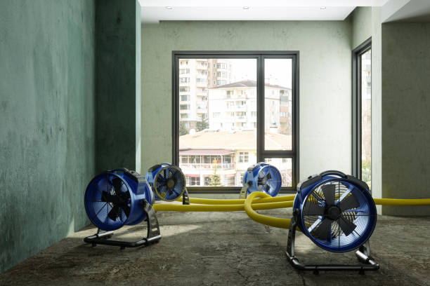 Best Water damage restoration mold remediation  in La Cygne, KS