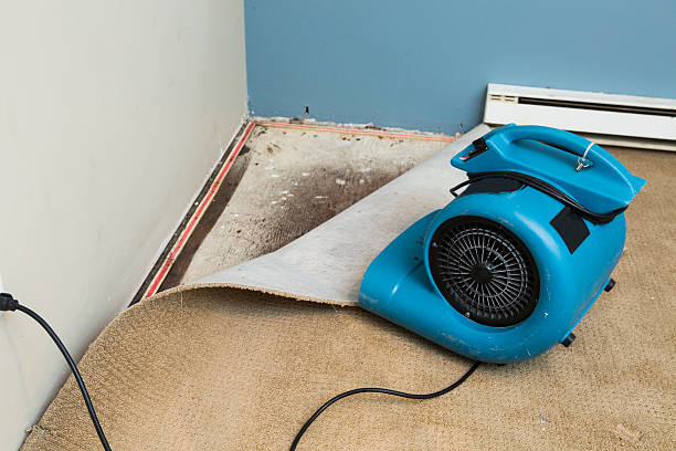 Best Water damage restoration cost  in La Cygne, KS